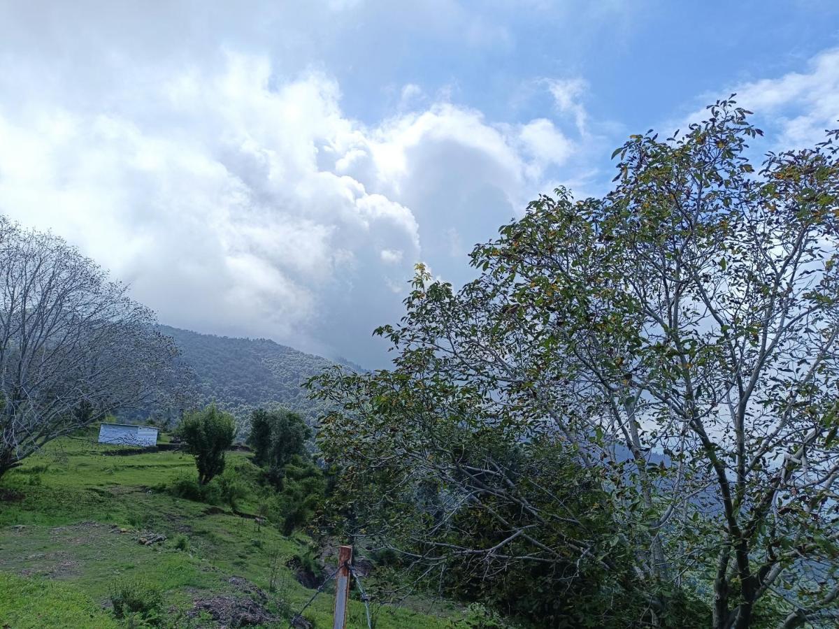 Windmill Inn Solan Εξωτερικό φωτογραφία